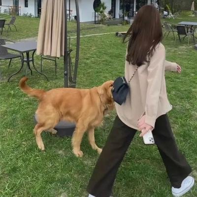 阿莫尔和马拉维塔